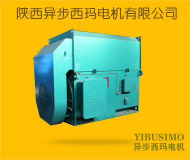 YKK系列高压电机 YKK3552-2/250KW/6000V
