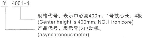 Y系列(H400-500)380V三相异步电机型号说明